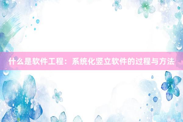什么是软件工程：系统化竖立软件的过程与方法