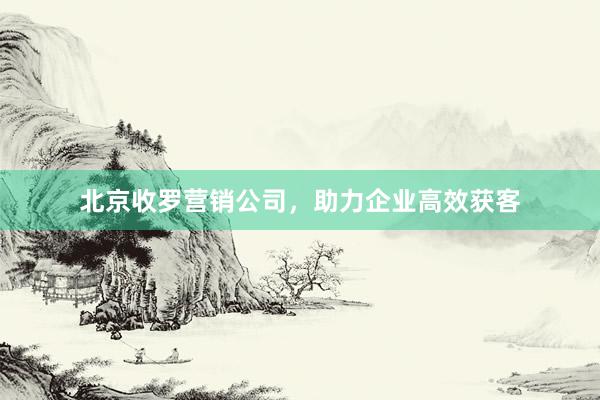 北京收罗营销公司，助力企业高效获客