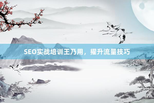 SEO实战培训王乃用，擢升流量技巧