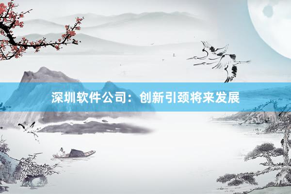 深圳软件公司：创新引颈将来发展