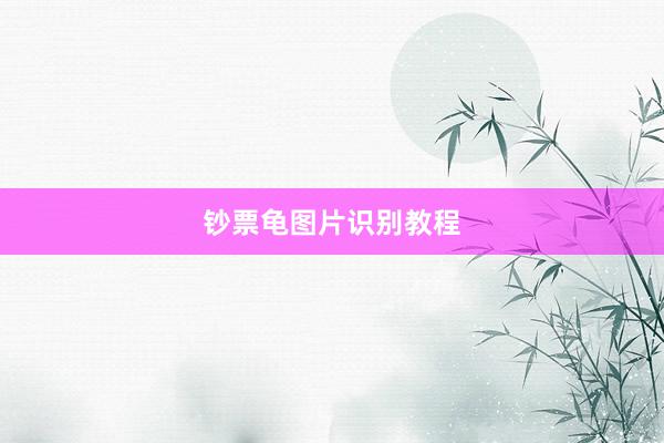钞票龟图片识别教程